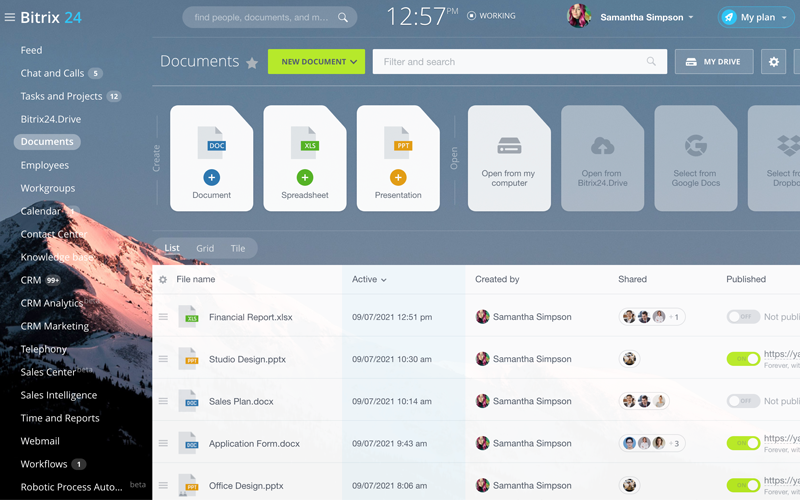 Document Management Software
